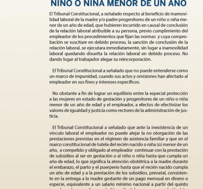 Inaplicabilidad de inamovilidad laboral y subsistencia de prestaciones a favor del niño o niña menor de un año