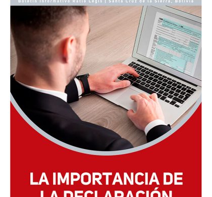 (Español) La importancia de la declaración informativa