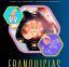 (Español) Guia de Franquicias Nª 1