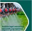 Operaciones cambiarias al tipo de cambio flexible para empresas del sector agrario